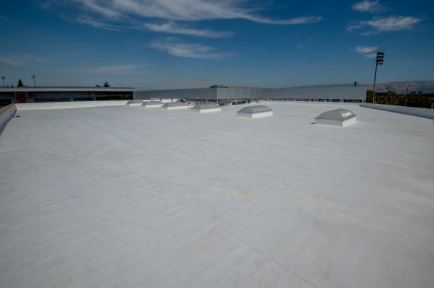 Best Metal Roofing Installation  in Muscatine, IA
