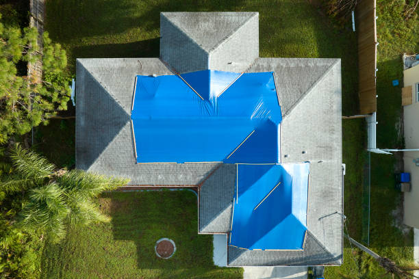 Best Storm Damage Roof Repair  in Muscatine, IA