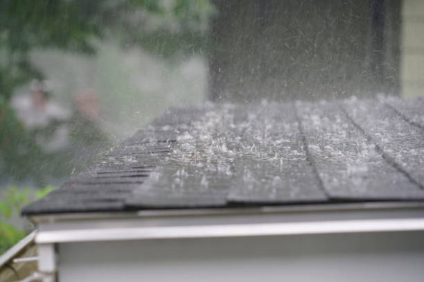 Best Asphalt Shingle Roofing  in Muscatine, IA