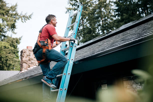 Best 4 Ply Roofing  in Muscatine, IA