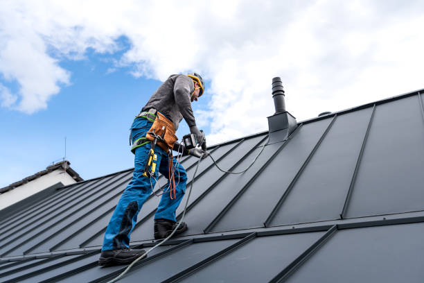 Best Sheet Metal Roofing  in Muscatine, IA